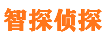 新会侦探